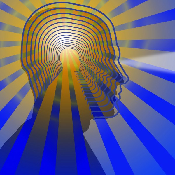 Vivid Mind by Bruce Rolff